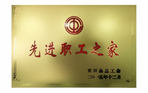 资质荣誉-918博天堂,电子式电能,智能电能表,智能开关,智能AMI系统,物联网解决规划,官方网站