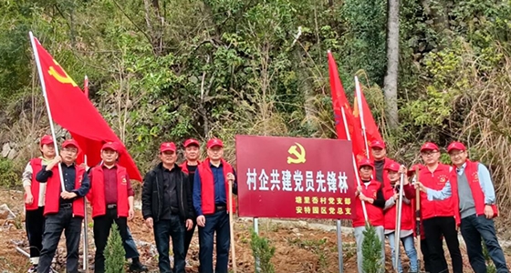 村企共建，共植前锋林