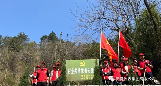 党建强引领，共植前锋林