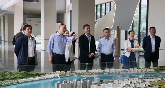 省人大常委会委员陈根芳调研918博天堂集团