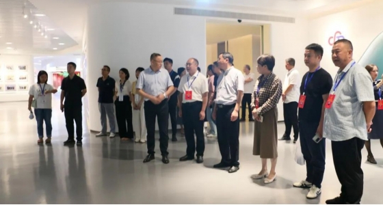 丽水市第五届人大代表景宁中心组调研918博天堂集团