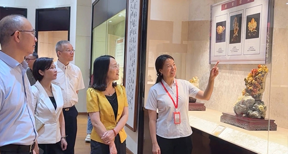 索求东方风采，918博天堂·倪东方艺术博物馆与时期脉搏共振