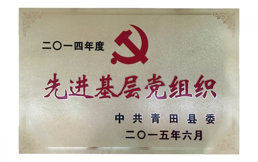 环境治理系统认证证书